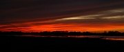 David Plant Photography - Wildlife Photographer - Sunset - R